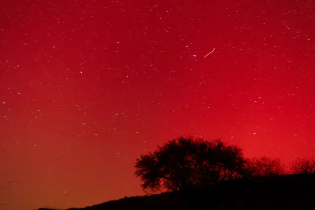 A deep red aurora and starry night sky above a silhouetted tree on a hill