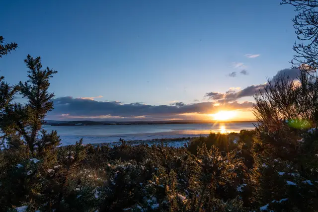 Sunset through bare branches over the sea.