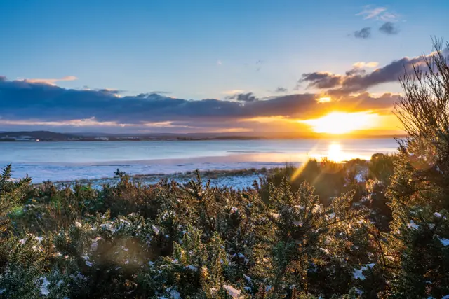A winter sunset over coastal dunes.